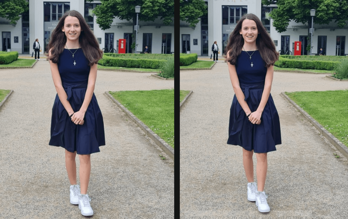 Vermisste Merle Bamberg